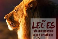 leao02